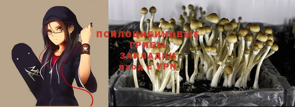 2c-b Балабаново