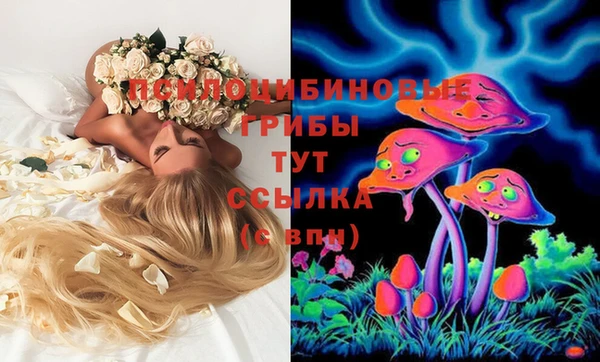каннабис Баксан