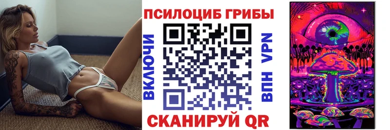 Псилоцибиновые грибы Magic Shrooms  Купить  Сычёвка 